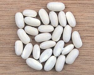 Great Northern beans.jpg
