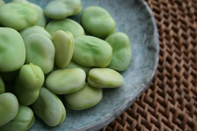 File:Fava beans.jpg