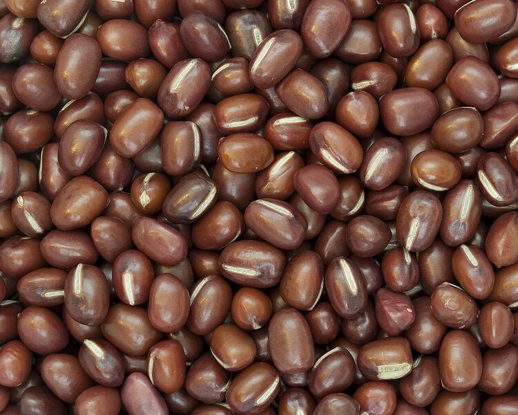 File:Adzuki beans raw.jpg